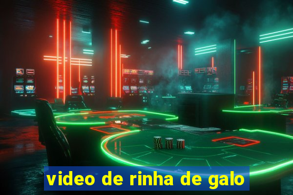 video de rinha de galo